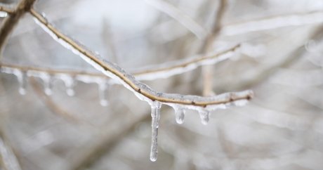 Ontario and Quebec ice storms cost insurers more than $85 million